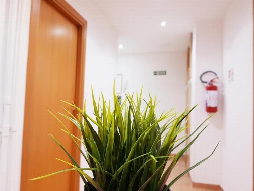 Rome Winners Home image 14