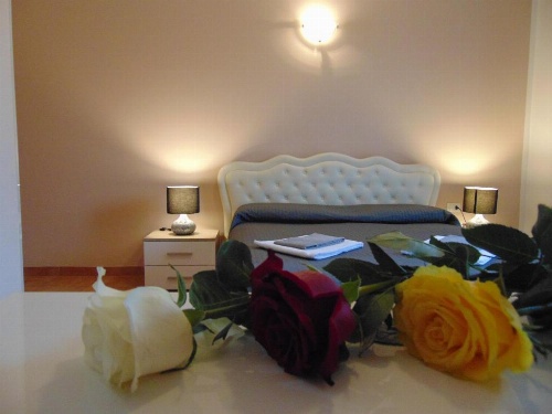 Rome Winners Home image 33