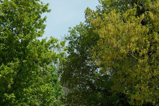 Tour image 3