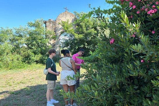 Tour image 6